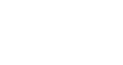 Shopicon